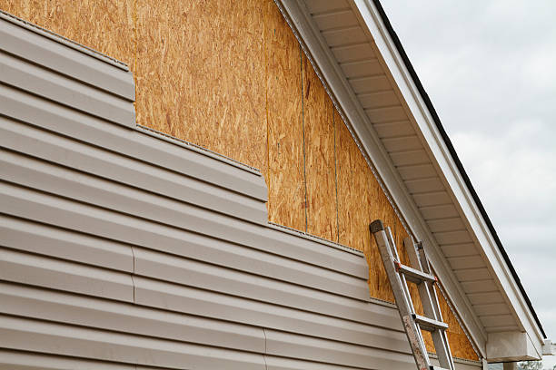 Professional Siding Repair technician working in Belmar, NJ